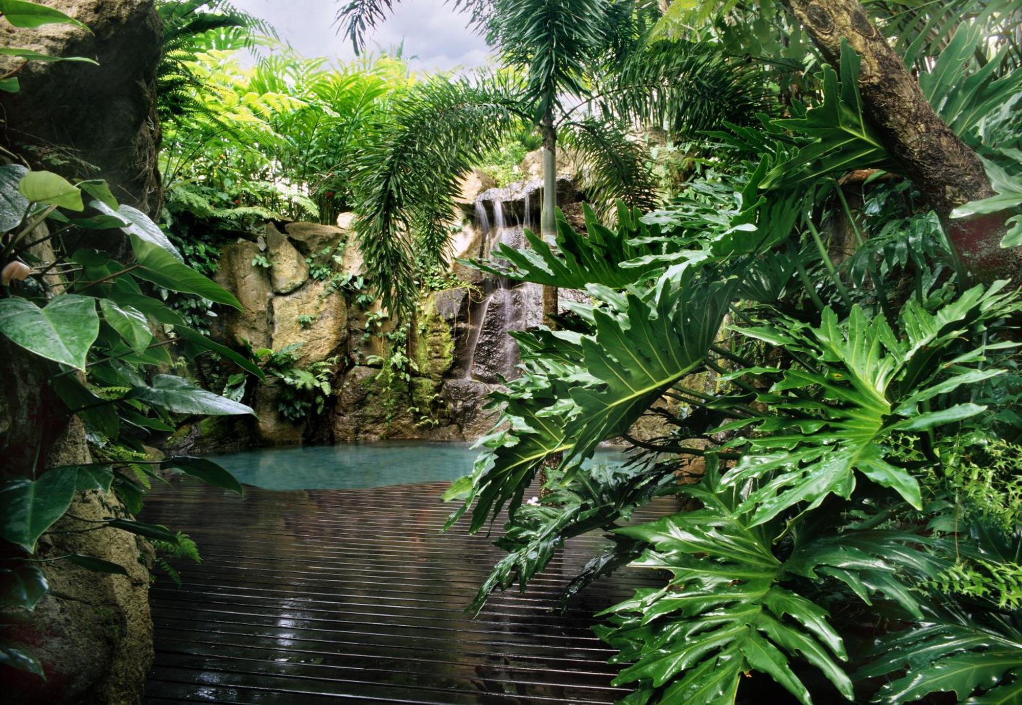 Hotel The Farm At San Benito Lipa City Exterior foto